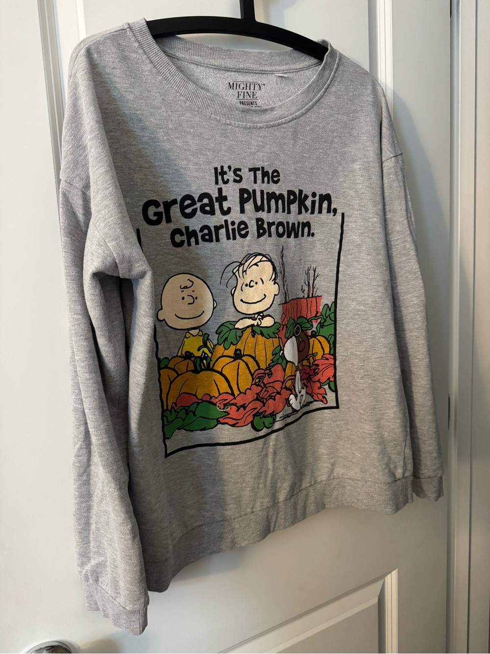 Mighty Fine Kids Light Gray Charlie Brown Pumpkin Graphic Sweatshirt